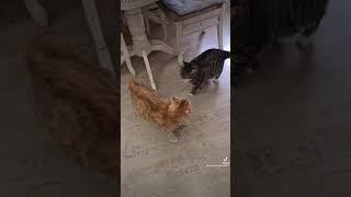 Кто по жизни?