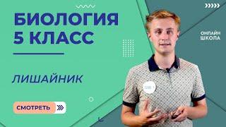 Лишайник. Видеоурок 29. Биология 5 класс