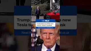 Trump plans to sell the Tesla he bought from Elon Musk