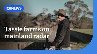 Mainland buyers turn to Tasmanian farmland in climate crisis | ABC News