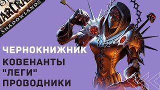 Обзор Чернокнижника. Ковенанты, Леги, Проводники.  Beta-test World of Warcraft: Shadowlands.