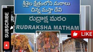 #శ్రీశైలం లోని పంచ మఠాలు చిన్నమస్తా దేవి PANCHA MATALU in #srisailam #chinamasta Devi