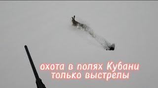 Охота на Кубани только выстрелы,сезон 23-24