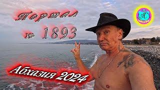 #Абхазия2024  27 декабря. Выпуск №1893Погода от Серого Волкавчера +18°ночью +8°море +12,8°