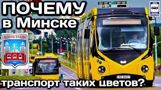 Почему транспорт в Минске таких цветов? | Why are transport in Minsk of such colours?