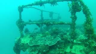 Diving the  shipwreck the 'Clan McWilliam' in Tonga.