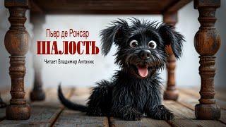 "Шалость". Пьер де Ронсар. Перевод - Вильгельм Вениаминович Левик. Читает Владимир Антоник