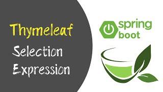 thymeleaf selection expression | complete project | thymeleaf expression | okay java