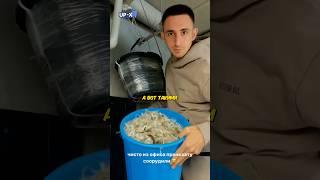 Литвина ПРАНК ПОШЁЛ НЕ ПО ПЛАНУ ️