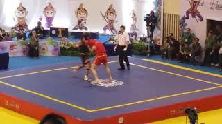 Iran vs Belarus -90kg Sanda Finals World Wushu Championships 2015