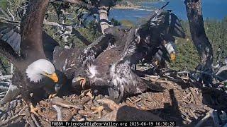 6-19-2025 Full Nest Kitchen…