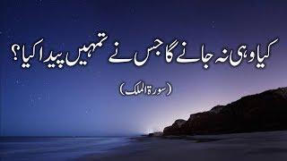 Very Beautiful Recitation of Quran Surah Al Mulk with Urdu Translation