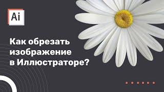 Как обрезать изображение/объект в Иллюстраторе?