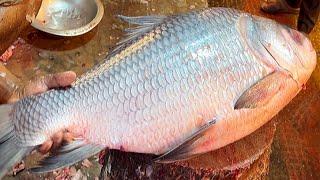 Amazing Giant 11 Kg Catla Carp Fish Cutting By Expert Fish Cutter | Fish Cutting Skills