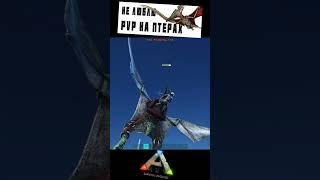 Не люблю PVP на птерах (ARK: Survival Evolved)