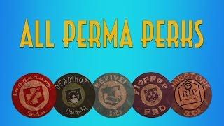 All Perma Perks (Persistent Upgrades) How to get / lose / KEEP! Call of Duty Black Ops 2