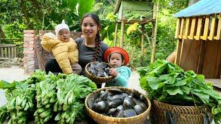 Harvest green vegetables to sell at the market, catch giant oysters to cook with your children