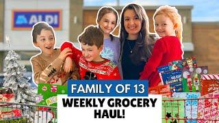 $1100 Weekly Grocery & Holiday Haul for Our Family of 13!