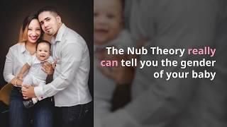 The Nub Theory Explained