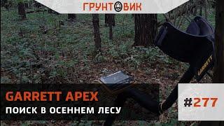 #277 Поиск в осеннем лесу с Garrett Apex