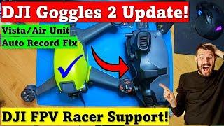 DJI Goggles 2 FPV Drone support | Vista fix! Dronehacks still works!