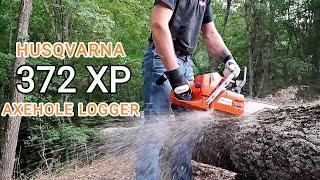 Testing my brand new Husqvarna 372xp _ Bucking oak tree _ AXEHOLE LOGGER