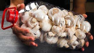 Don’t Fry Mushrooms Anymore! 6 Brilliant Ideas Work Like CRAZY Magic!