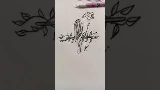 How to draw Parrot pencil sketch / Sehar Sketch and Art