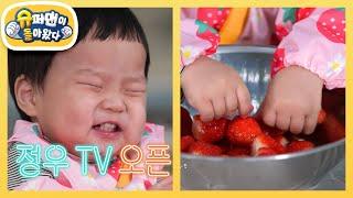 딩가딩가 베짱이 정우TV 오픈! (feat. 준호아빠와 형아는 딸기청 만드는중)  [슈퍼맨이 돌아왔다/The Return of Superman] | KBS 250205 방송