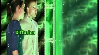 GCSE Science Revision - Cells