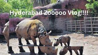 Nehru Zoological Park | Hyderabad Zoo Vlog | Must visit | Holiday in Hyderabad #vlogs
