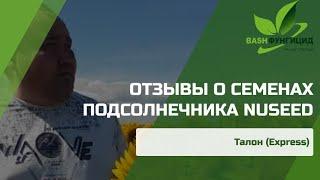 РЕАЛЬНЫЕ ОТЗЫВЫ глав КФХ и агрономов о гибридах подсолнечника Нусид (по корзинке).