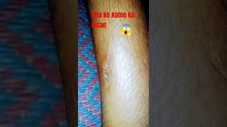 Kira ke katne ka new blog 3 October short video upload #viralshort video #viralreels