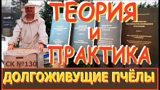 Схемы Работы с Пчелами - Перевод в Долгоживущие. Теория, Практика, Ошибки. "Пчеловодство, СК130"