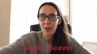 Idiomania: Eager Beaver