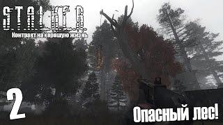 S.T.A.L.K.E.R. Контракт на хорошую жизнь #2 — Опасный лес!