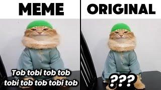 Tob Tobi Tob Tob Tobi Tob Muslim Cat Original Video