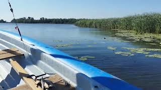 Проход узкого участка реки под парусом