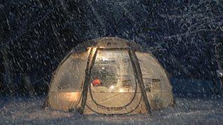 Camping In the forest with snowstorm️ 360-degree transparent tent! / I'm NOT camping alone today