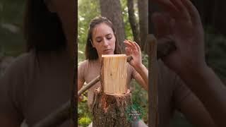 What would YOU do with this DIY hammer?  #bushcraft #survival #shorts