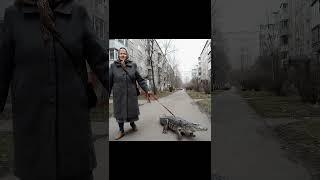 Хочешь такого же крокодила? Переходи по ссылке в описании! #бабка #тренды #ии #крокодил