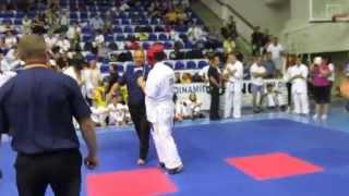 Matkovski Sergey - UKR (3 boy-1/2 final) "All kyokushin World cup"