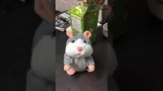 STGOOD RABIT FUNNY VIDEO