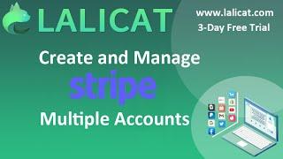 How to Create Multiple Stripe Accounts with Lalicat Virtual Antidetect Browser?