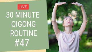  LIVE 30 Minute Qigong Routine - Qigong For Beginners