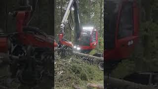 Komatsu's 951XCV isn't messing about #forest #forestry #forester