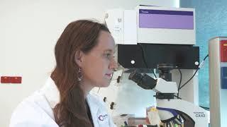 Dr Melanie Eckersley-Maslin - Peter MacCallam Cancer Centre