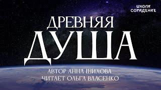 Древняя Душа. Автор Анна Шихова. Читает Ольга Власенко #поточныестихи #школаCорадение