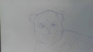 satisfying drawing.....amazing drawing by tns