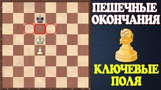 Шахматы. Учебник эндшпиля №1. Пешечные окончания - ключевые поля